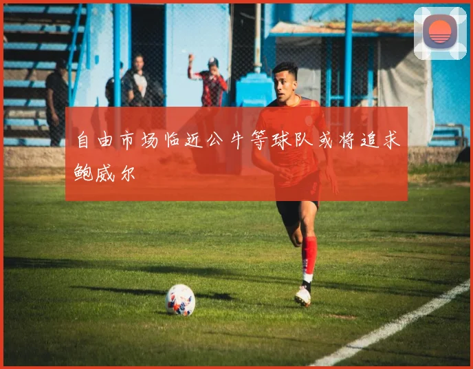 自由市场临近公牛等球队或将追求鲍威尔